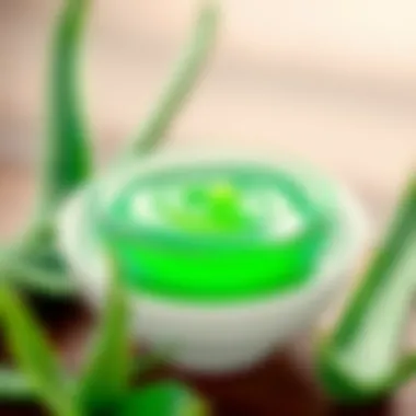 Aloe vera gel in a bowl