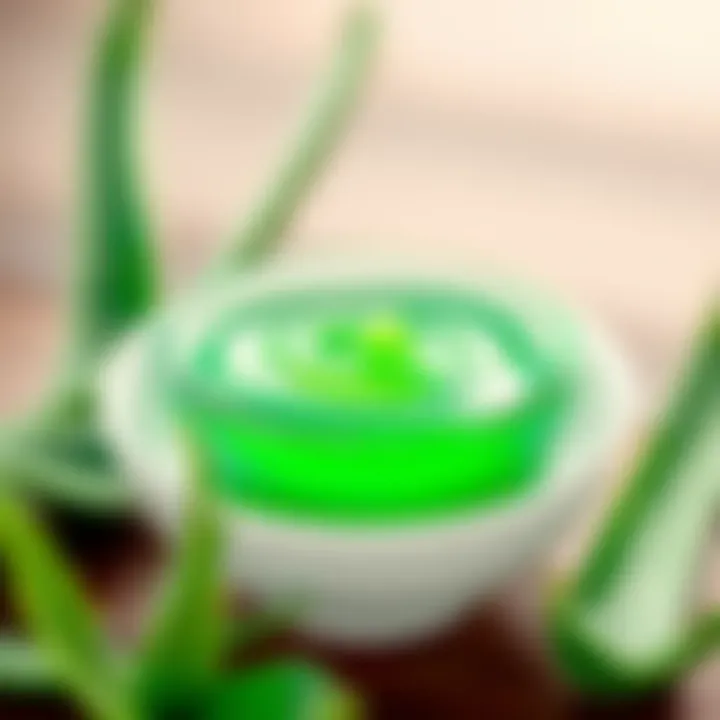 Aloe vera gel in a bowl