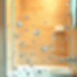 Crystal clear shower glass after cleaning