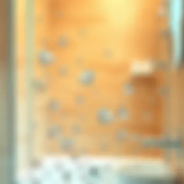 Crystal clear shower glass after cleaning