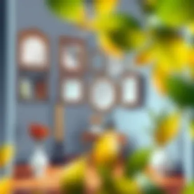 Creative display of mirrors and frames enhancing the entrance