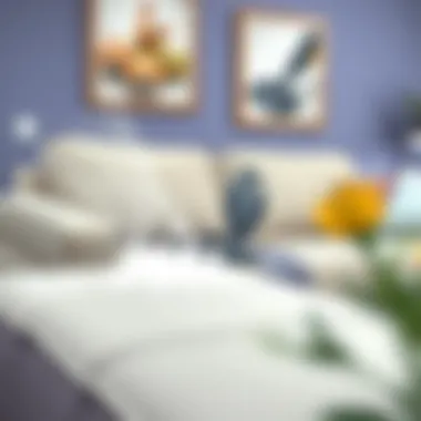 Vacuuming a couch to remove dust and debris