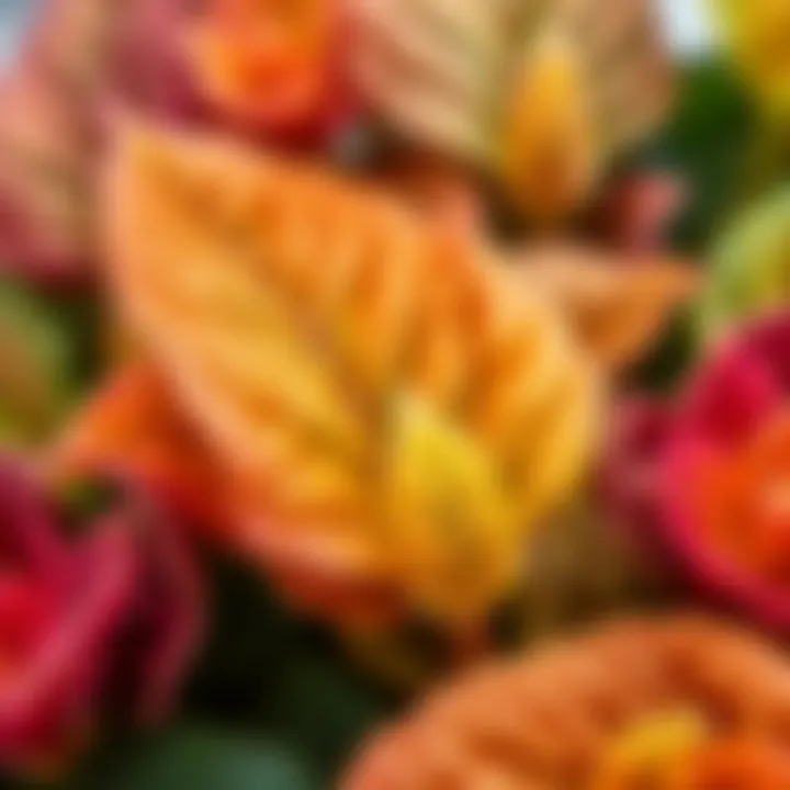 Holiday Flower Care: Healthy Leaves Close-up of healthy holiday plant leaves showcasing vibrant colors