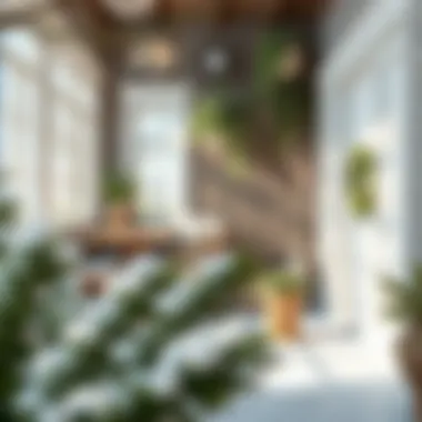 Elegant winter garden design with natural light