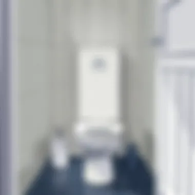 Final inspection of the installed toilet