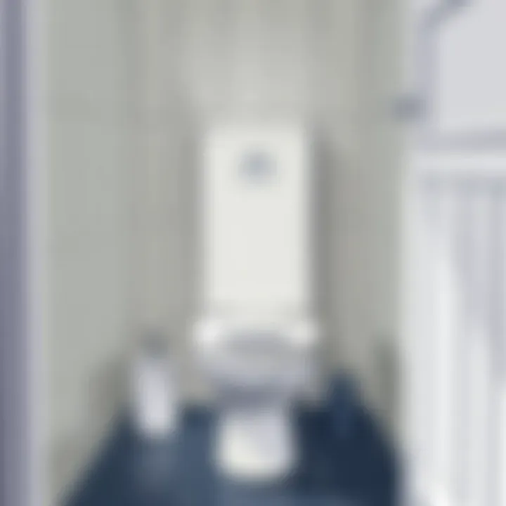 Final inspection of the installed toilet