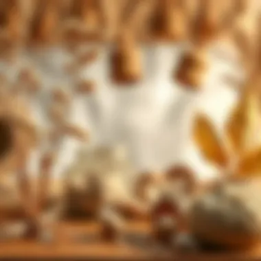 Artistic Creations from Dried Materials Artistic dried material creations