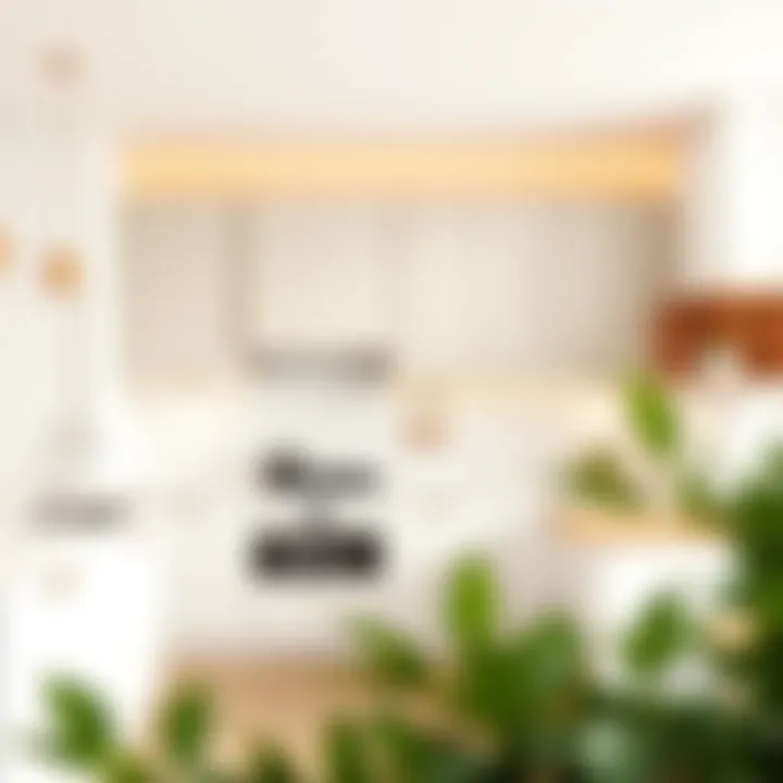 Modern kitchen with sleek cabinets in neutral shades