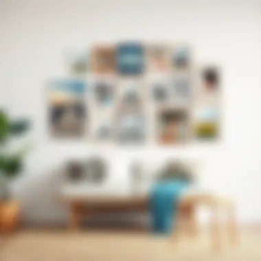 A beautifully arranged gallery wall showcasing diverse photographs