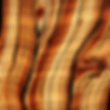 Natural Wooden Textures Detailed close-up of rustic wooden textures that highlight the natural patterns