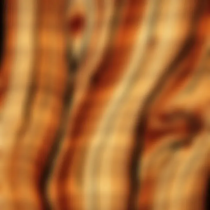 Natural Wooden Textures Detailed close-up of rustic wooden textures that highlight the natural patterns