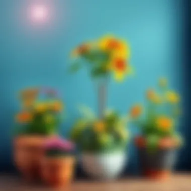 Vibrant indoor flower arrangements in stylish pots