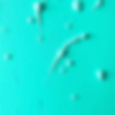 Close-up of silicone interior paint texture