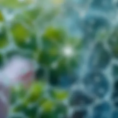 Close-up of a sparkling clean glass surface.