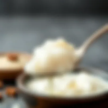 A spoonful of yogurt culture demonstrating the fermentation starter